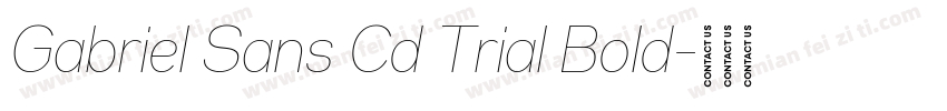 Gabriel Sans Cd Trial Bold字体转换